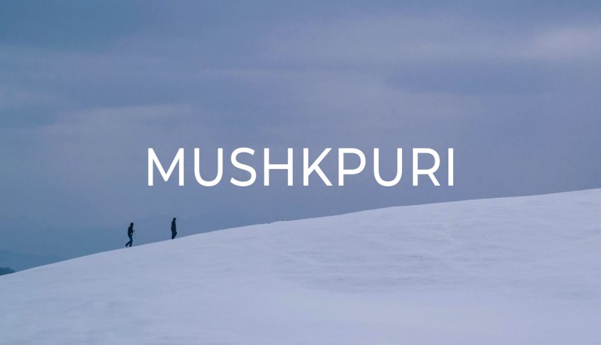 Mushkpuri top in snow